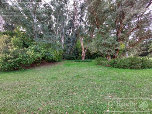Imagen 5 de 28 de Quinta En Venta En Abasto, Con Casa De Campo Sobre Lote De 26.103 M2