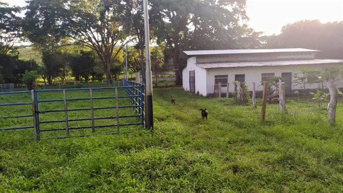 Vendo Finca En Tinaquillo Cojedes Mg