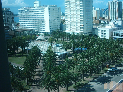 Imagen 5 de 30 de Con Excelente Vista Al Mar