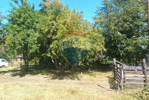 Venta Parcela De Campo Catripulli, Curarrehue