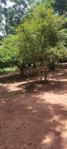 Chacara 31.400m2 Com Casa Bauru