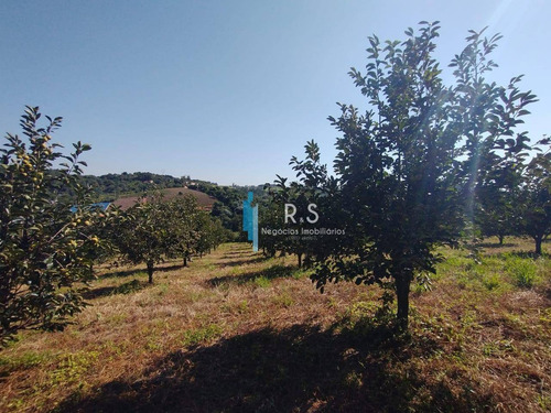 Sítio À Venda, 40000 M² Por R$ 2.000.000,00 - Engenho Seco - Louveira/sp - Si0009