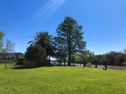 Casa En El Río. Alquiler Turistico. Villa Paranacito