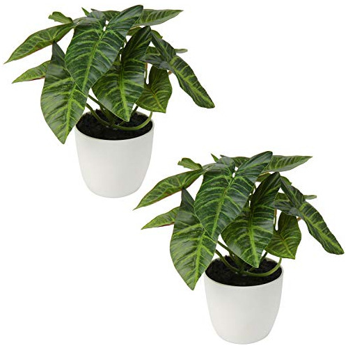 2 Pcs Plantas Artificiales De Alocasia Begonia Calathea...