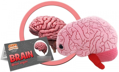 Peluche Cerebro Giant Microbes