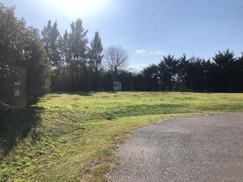 Imagen 3 de 3 de Terreno - Ituzaingó