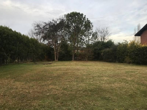 Imagen 3 de 6 de Maroto Propiedades - Vende - Lote - Septiembre