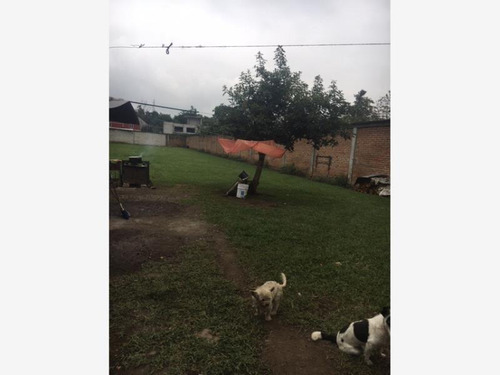 Imagen 4 de 8 de Terreno En Venta El Trébol
