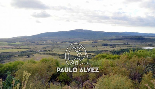 Imagen 9 de 10 de Chacras-venta-cerro-pan-de-azucar-ch025