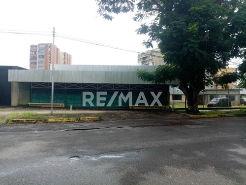 Imagen 2 de 7 de Se Vende Galpón En La Avenida Raul Leoni