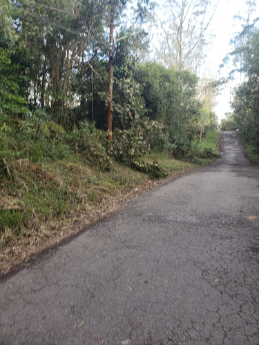 Vendo Terreno Na Rua Santa Madalena.  Jardim Planteucal  Pir