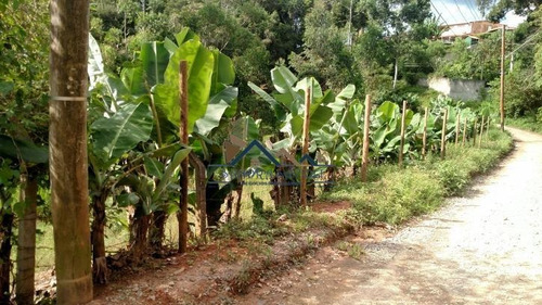 Imagem 9 de 15 de Área No Centro De Caucaia. Oportunidade Para Investir! - 202