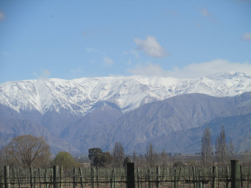 Imagen 5 de 17 de Valle De Uco - Venta Parcelas Con Viñedos