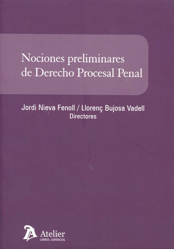 Libro Nociones Preliminares De Derecho Procesal Penal - 