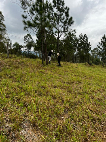 Imagem 9 de 24 de 01- Terreno Em Mairiporã A 30 Minutos De São Paulo ! Agende Sua Vista.