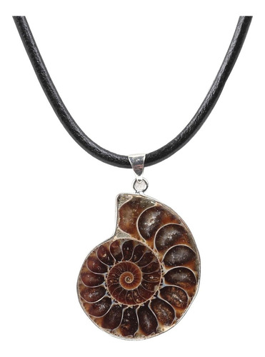 Simplicity Fossil Ammonite Collar De 18.0 In Cordón De Cuero