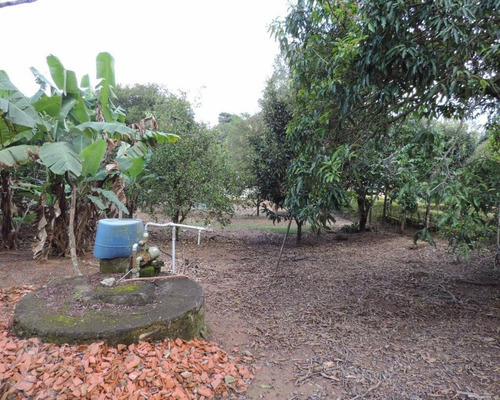 Terreno À Venda Em Vinhedo/sp. - Te000664 - 68393905