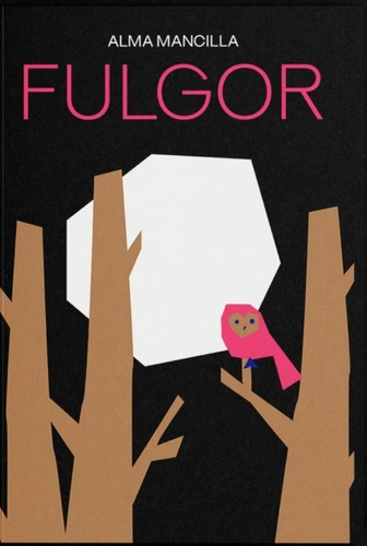 Libro: Fulgor. Mancilla, Alma. Salto De Pagina