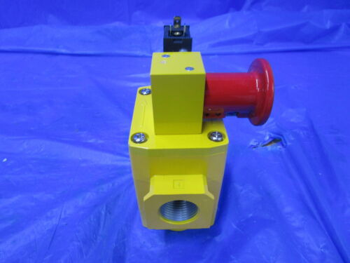 New Smc Soft Start Up Valve Avl5000-n10-5dzm Dc24v 0.2-1 Ccm