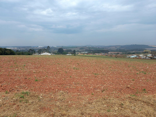 Imagem 5 de 14 de B02- More Próximo Ao Parque Do Morango! Lotes Promocionais!!