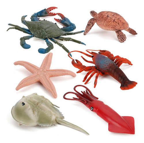 Colección De Regalos De Cumpleaños De Marine Life Animal