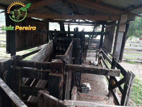 Imagem 13 de 15 de Fazenda À Venda Em Colniza -mt - 629,2 Hectares (dupla Aptidão) - 2108