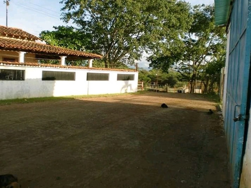 Imagen 13 de 13 de Venta Finca Avicola En Anzoategui