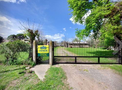 Casa Quinta De 5 Ambientes Con Amplio Galpón ( Criadero)