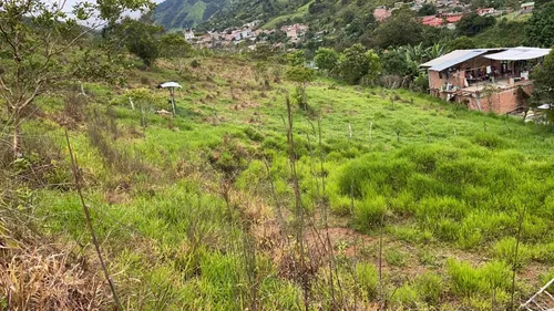 Lote En Excelente Ubicación