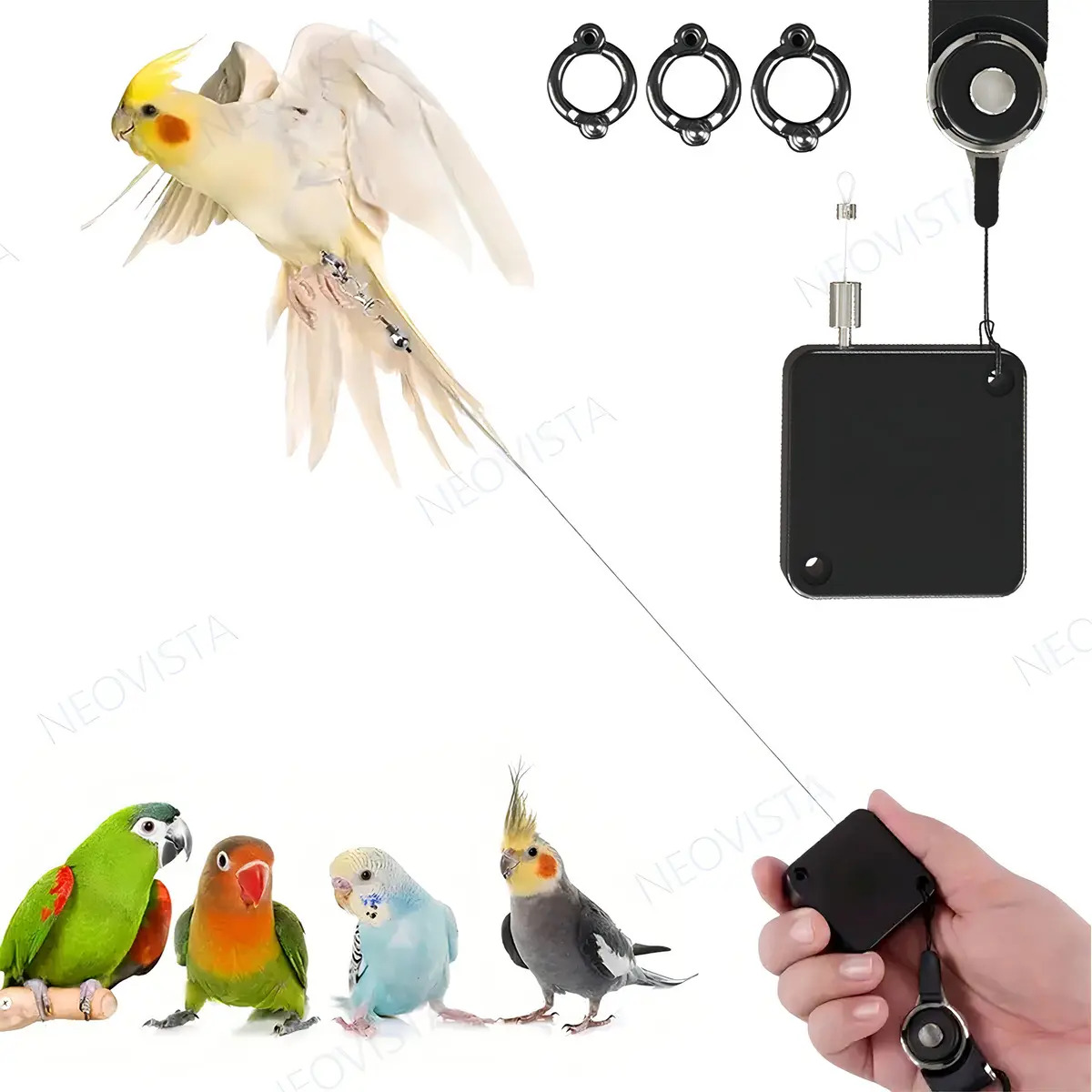 Correa Retráctil Para Loro 2m, Arnés Ajustable Para Aves Pequeñas, Sistema De Entrenamiento De Vuelo Para Periquito, Agapornis, Cacatúa