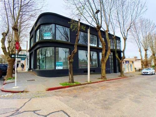 Excelente Local Comercial Sobre Avenida Principal De Colonia