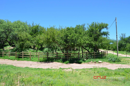 Imagen 6 de 11 de Lotes Desde 1000m2 Cortaderas Loma India