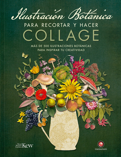 Libro Ilustración Botánica Para Recortar Y Hacer Collage, De David And Charles. Editorial Contrapunto, Tapa Blanda, Edición 1 En Español, 2024