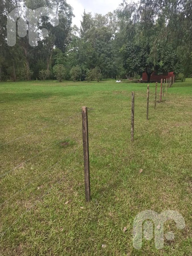 Imagen 10 de 12 de Venta Terreno - Abasto