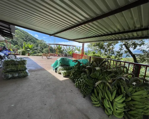 Venta De Finca Cafetera En Fresno Tolima