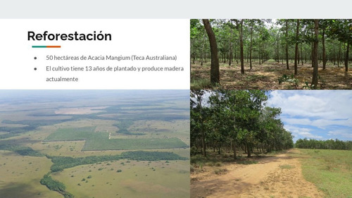 Imagen 12 de 14 de Venta Hacienda Puerto Gaitan