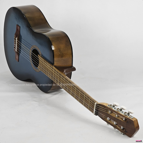 Guitarra Electro Acustica Criolla Funda Pua Colores Color Azul Material del diapasón Madera Orientación de la mano Zurdo