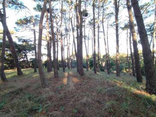 Imagen 6 de 7 de Terreno En Venta En Mar De Las Pampas