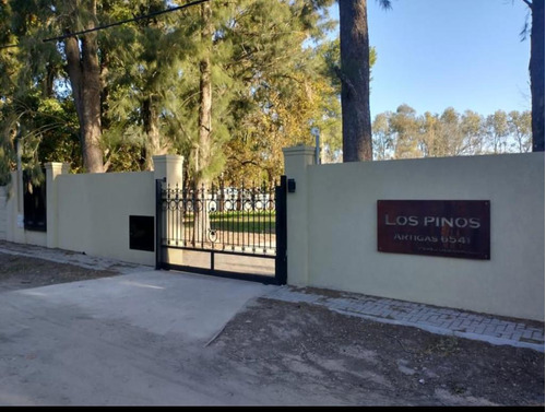 Oportunidad! Lote Escriturable En Barrio Los Pinos