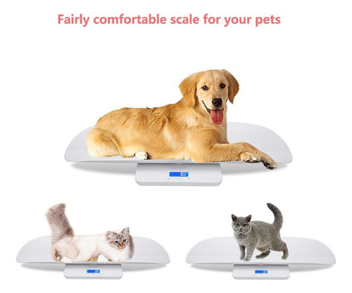 Balanza Para Animales Con Tallímetro Integrado