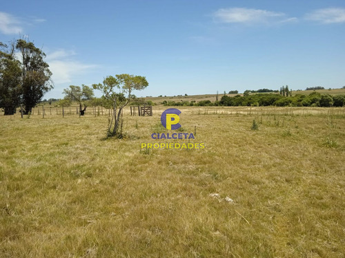23 Hectáreas En Lavalleja Con Arroyo