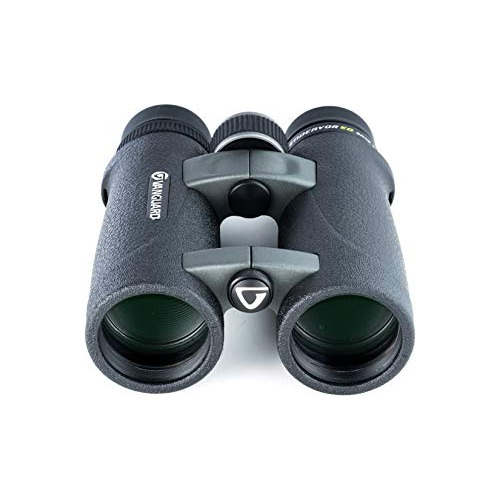 Maven C3 Ed Binocular Gris/naranja (12 X 50 Pulgadas)