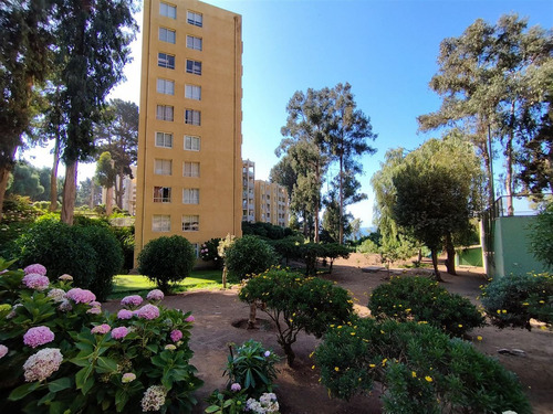 Departamento En Condominio Con Bajada A La Playa En Horcón