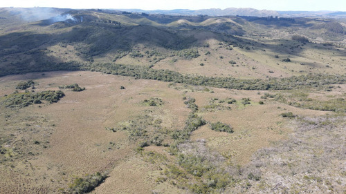 Campo En Rocha De 137ha (ref: Atm-6803)