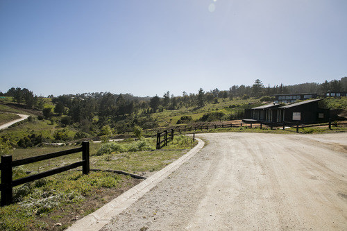 Reserva Natural En Punta De Lobos