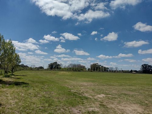 Imagen 24 de 30 de Campo En Venta Zona Polo, Pilar, Con 2 Canchas De Polo Y Varias Mejoras