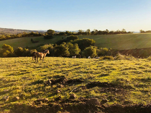 Quinta En Venta - Monoambiente En Aiguá (ref: Bpv-7831)