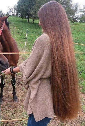 Imagen 3 de 7 de 2 Shampoo Del Caballo Para Uso Humano Yeguada Reserva