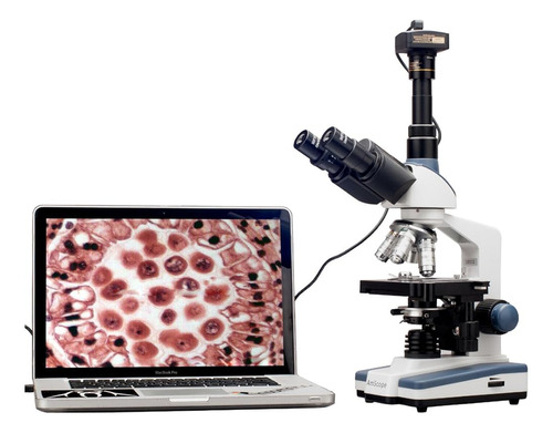 Microscopio Compuesto Trinocular Siedentopf Profesional Digi