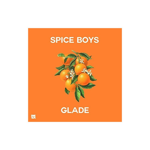 Spice Boys Glade  Usa Import Lp Vinilo